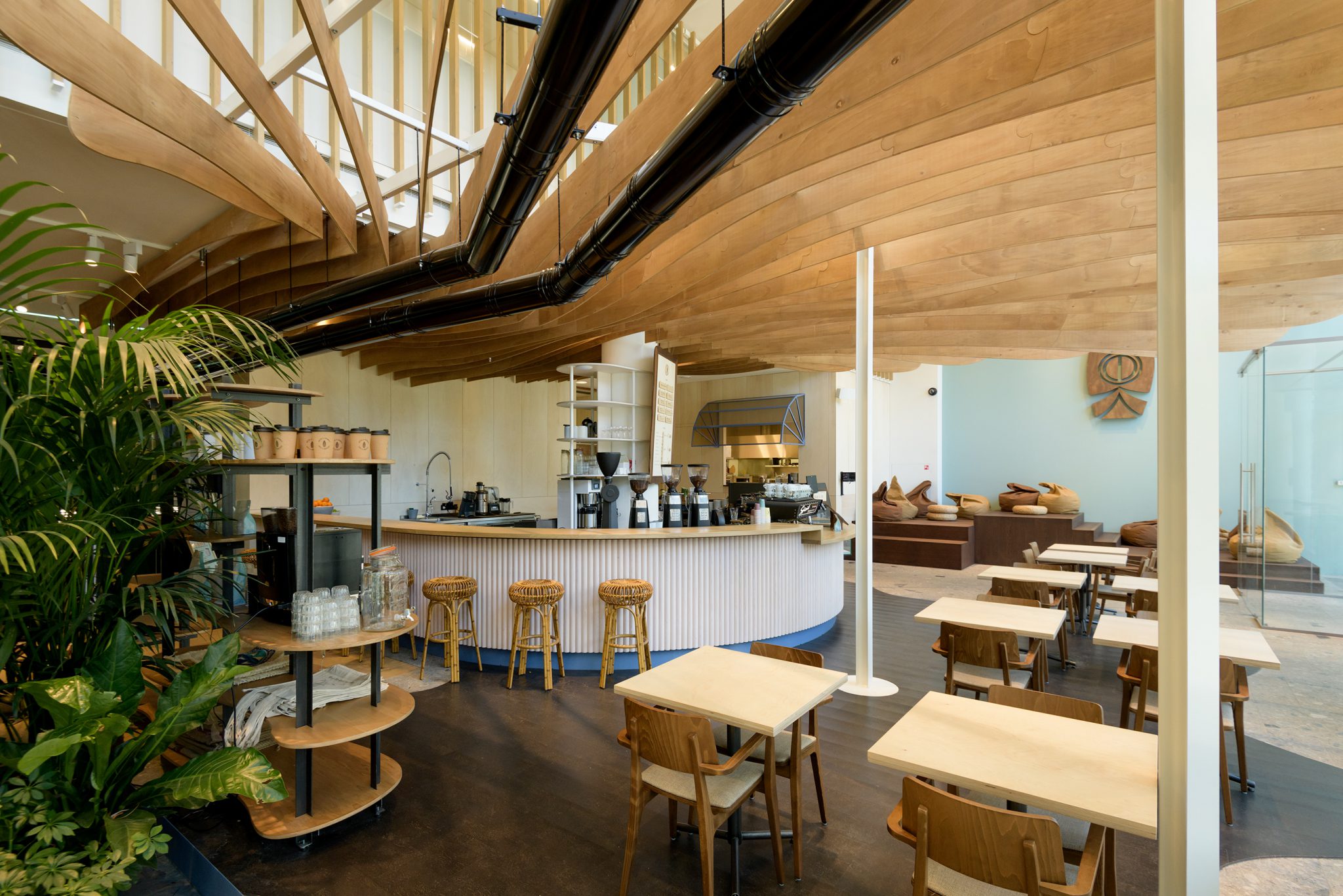 Coffee shop and coconuts
